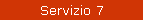 Servizio 7